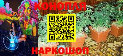 гидропоника Пугачёв